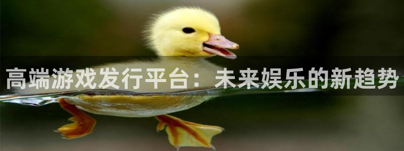 新宝GG官网的奇趣腾讯是真的吗还是假的