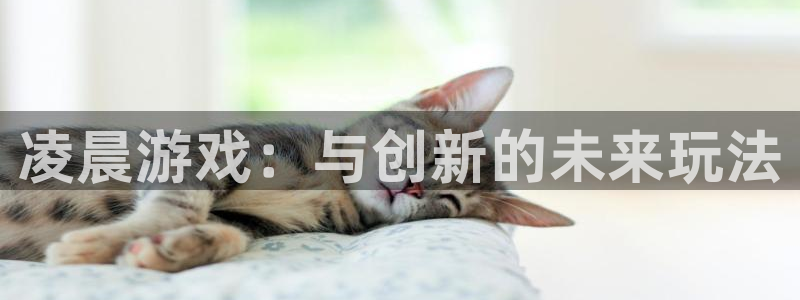 广州新宝GG投资