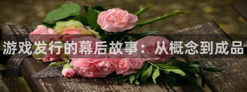 新宝GG品牌策划：游戏发行的幕后故事：从概念到成品