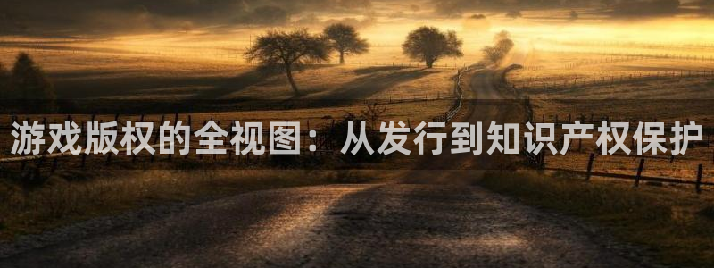 新宝GG官网价 5O6917 新宝GG：游戏版权的全视图：从发行到知识产权保护