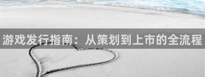 新宝GG官网登录注册账号是什么：游戏发行指南：从策划到上市的全流程