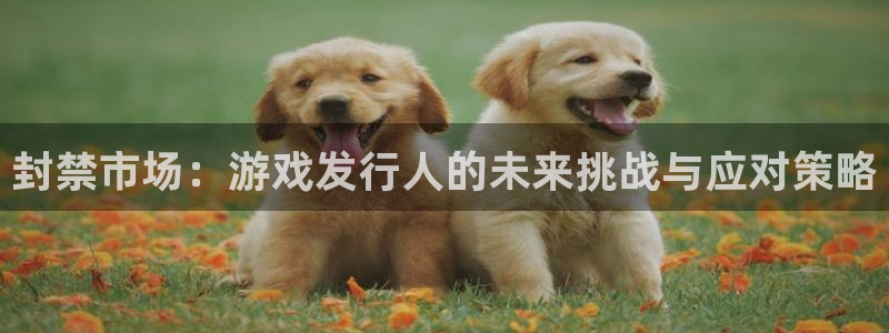新宝GGlogo片头米高梅狮子：封禁市场：游戏发行人的未来挑战与应对策略