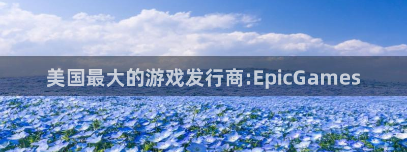 新宝GG官网跑路了吗：美国最大的游戏发行商:EpicGames