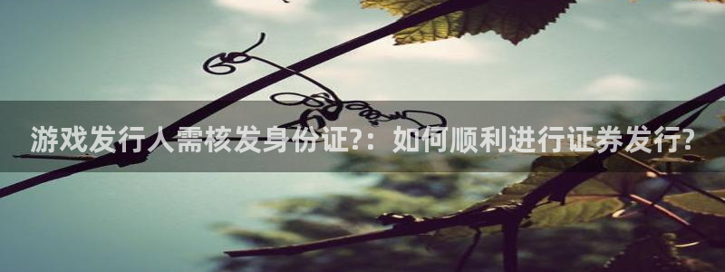 新宝GG官网平台合法吗：游戏发行人需核发身份证?：如何顺利进行证券发行?