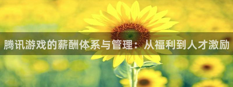 新宝GG工坊：腾讯游戏的薪酬体系与管理：从福利到人才激励