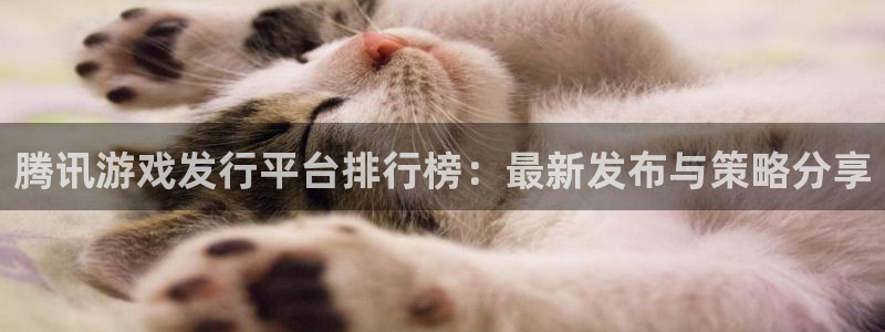 新宝GG装饰：腾讯游戏发行平台排行榜：最新发布与策略分享