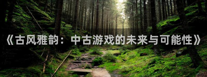 新宝GG啤酒多少钱一箱：《古风雅韵：中古游戏的未来与可能性》