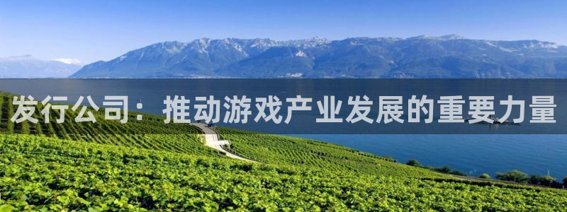 新宝GG官网的奇趣腾讯是真的吗：发行公司：推动游戏产业发展的重要力量