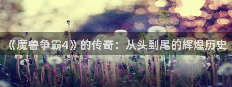 作者新宝GG子小说