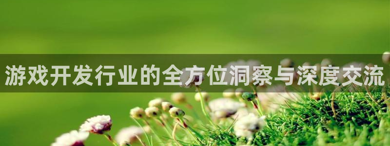 深圳新宝GG电商