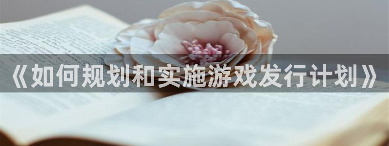 新宝GG集团有限公司：《如何规划和实施游戏发行计划》