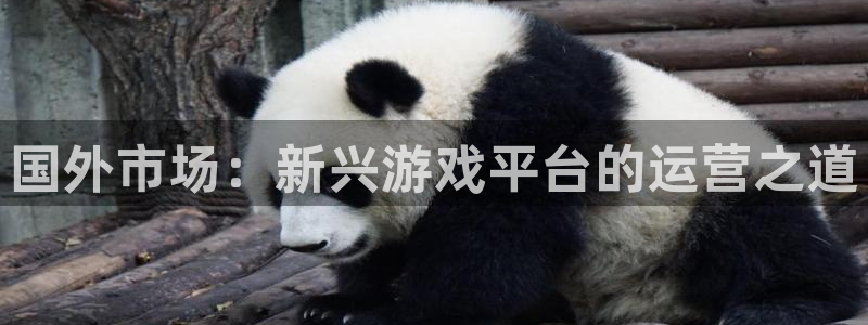 长沙新宝GG子电子商务有限公司