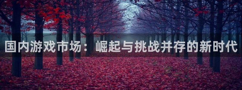 新宝GG官网代理开号：国内游戏市场：崛起与挑战并存的新时代