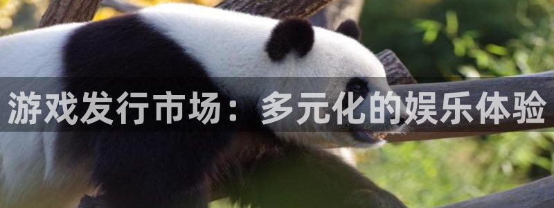 新宝GG户外：游戏发行市场：多元化的娱乐体验